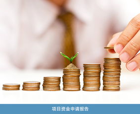 股權(quán)價(jià)值與項(xiàng)目投資風(fēng)險(xiǎn)分析 專業(yè)機(jī)構(gòu)的選擇與價(jià)格考量
